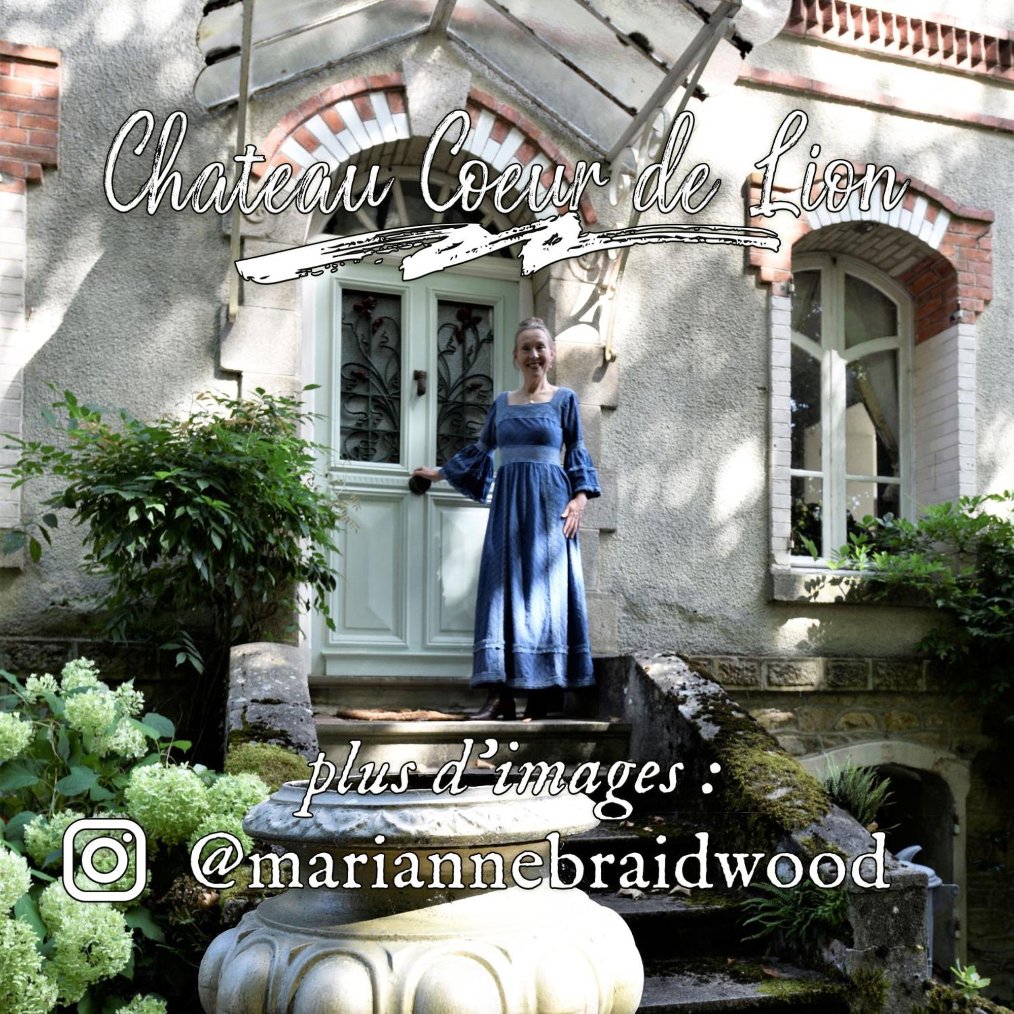 Chateau Coeur De Lion Châteauponsac Exteriör bild