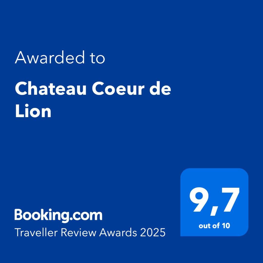 Chateau Coeur De Lion Châteauponsac Exteriör bild